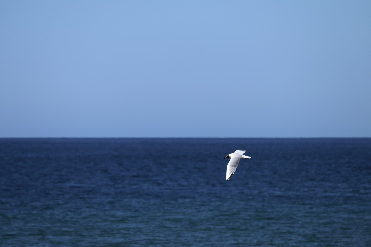 "En vuelo III" de Natalia Harosteguy