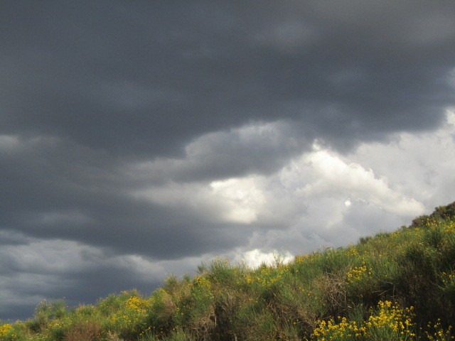 "Tormenta de martes " de Miguel Angel Palermo