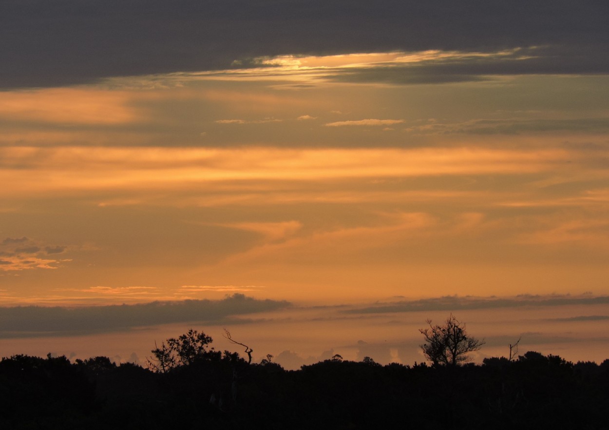 "Comienza el atardecer" de Silvia Olliari