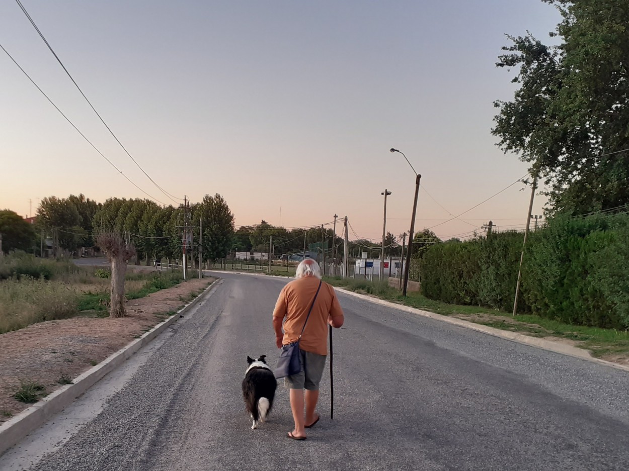 "Amigos son los amigos" de Diego Proverbio de Freitas