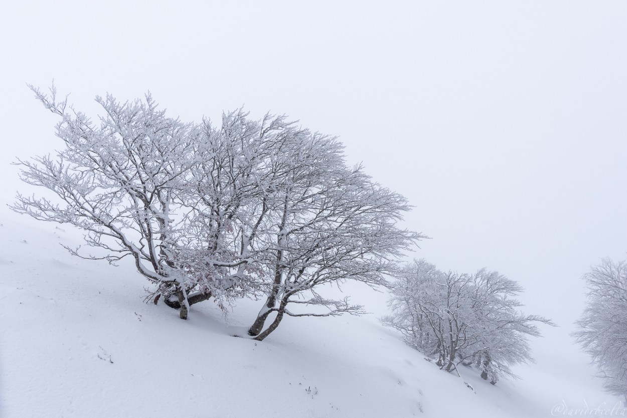 "Camins del GR11 - Sierra de Garabizkai" de David Roldn