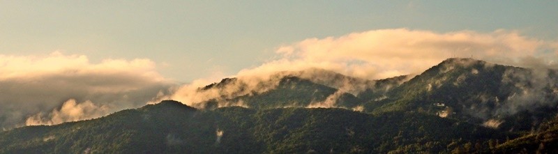 "Deus e a natureza no fazem nada inutilmente......" de Decio Badari