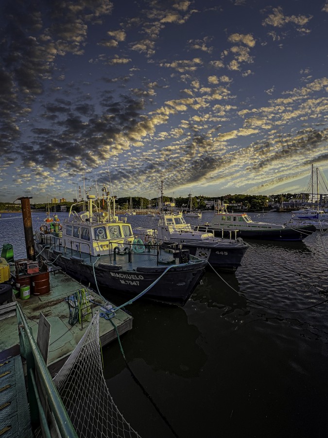 "Puerto de Colonia..." de Carlos Cavalieri