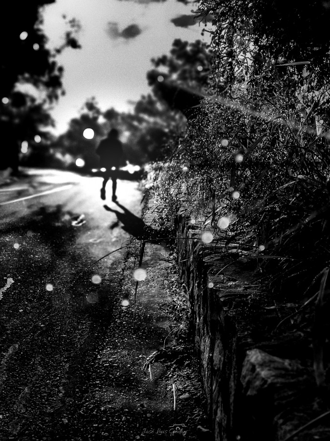 "...gotas de rocio..." de Jose Luis Godoy