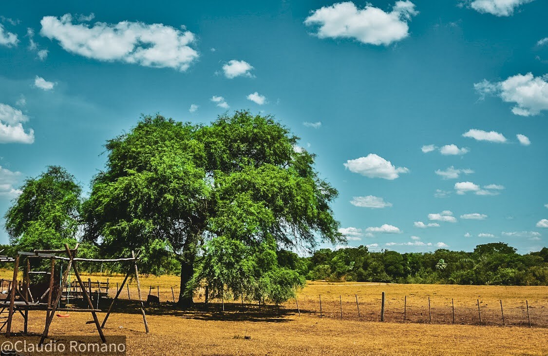 "En el campo.." de Claudio Romano