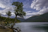 A orillas del lago Escondido/Tierra del Fuego