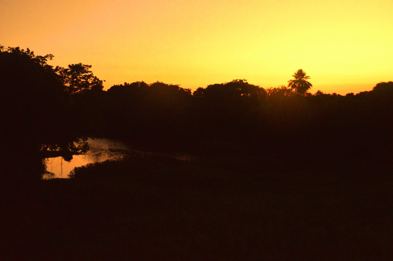 "Atardecer intenso." de Claudio Romano