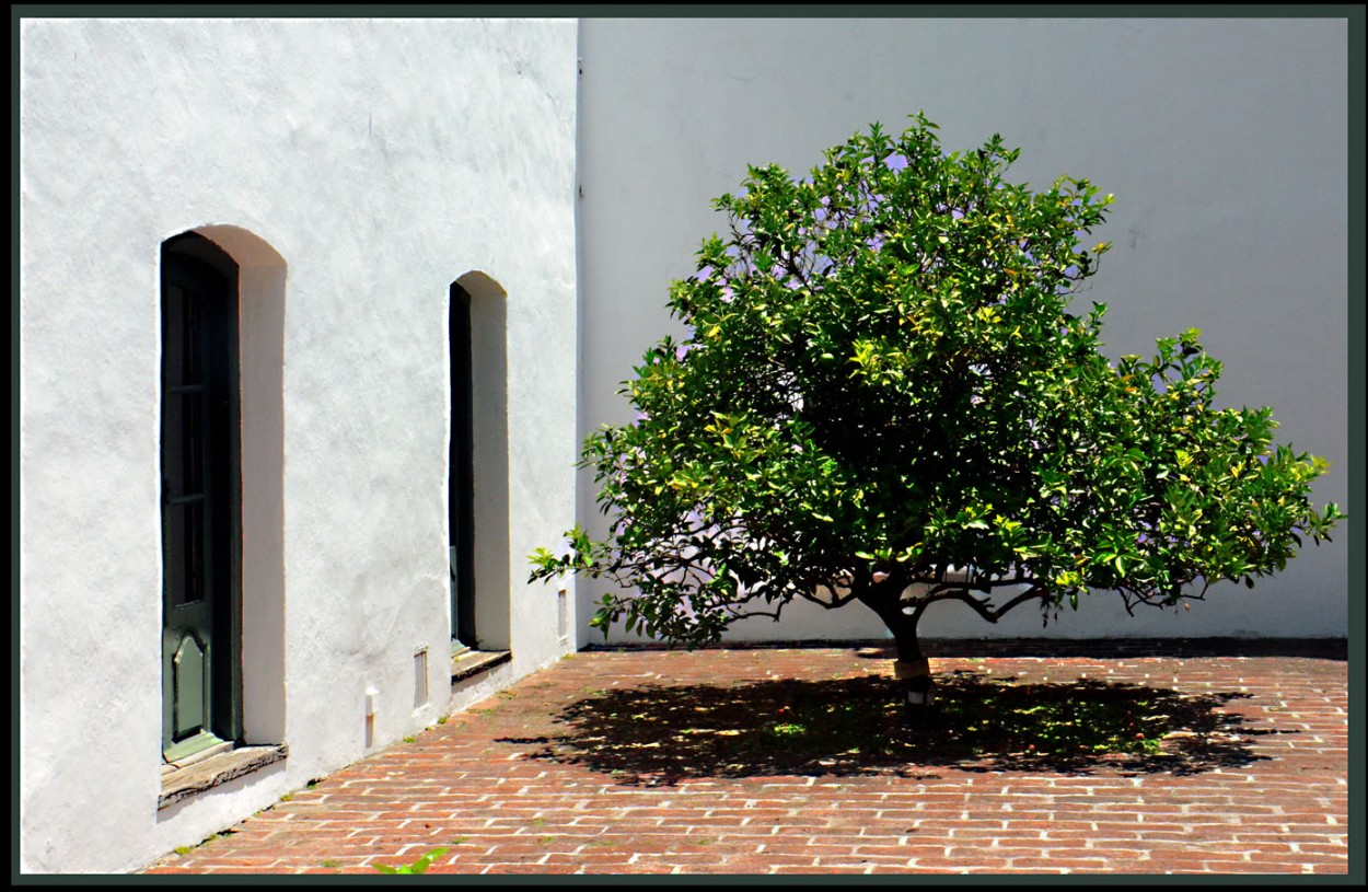 "Iluminacin cenital" de Jorge Vicente Molinari