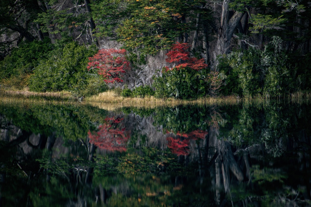 "Reflejos" de Marcelo Giorgi