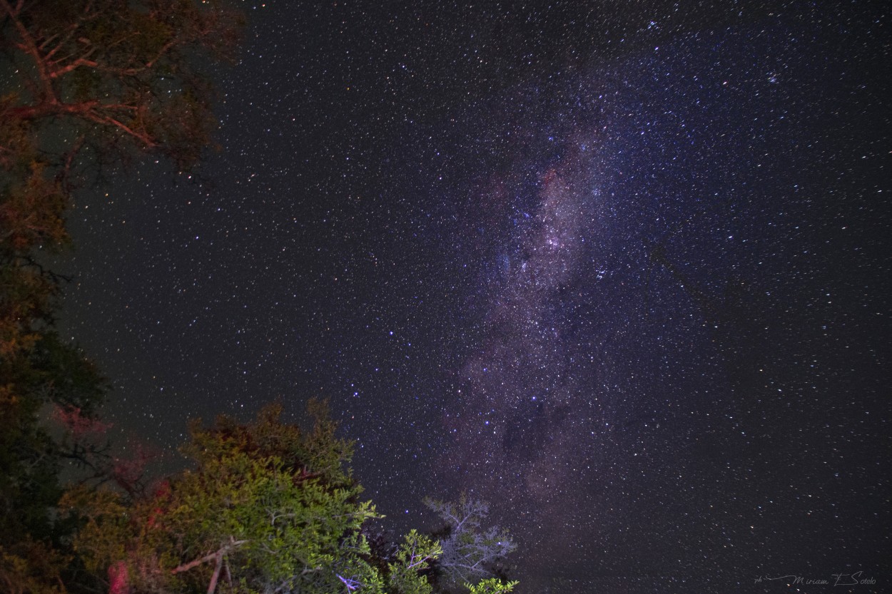 "Noche en Punta Indio, Bs. As." de Miriam E. Sotelo