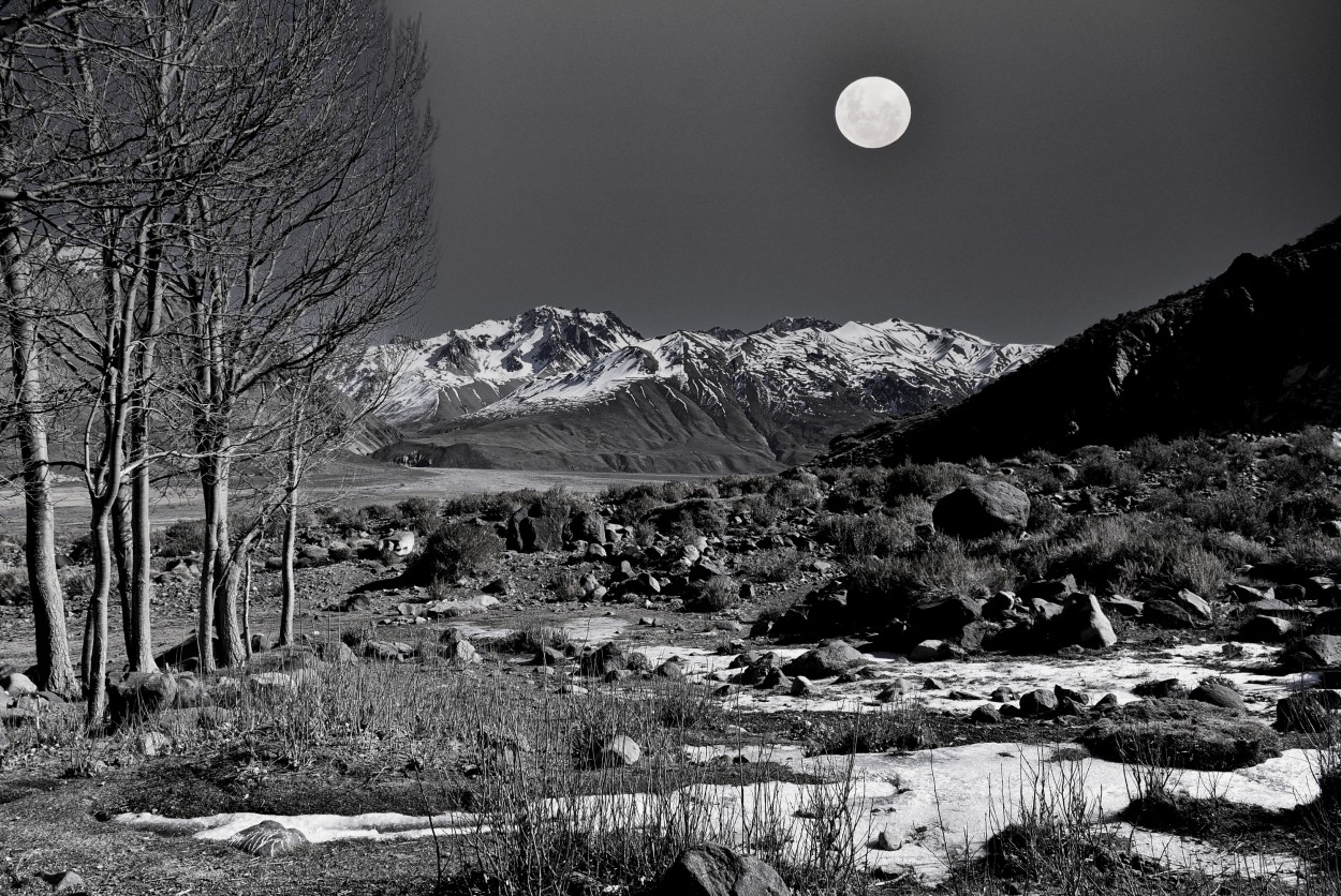 "Noche en Mendoza" de Daniel Oliveros