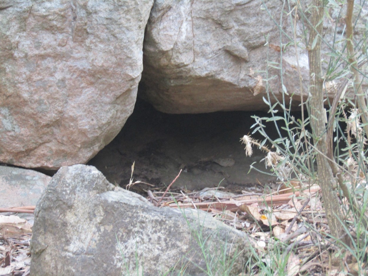 "Otra cueva " de Miguel Angel Palermo