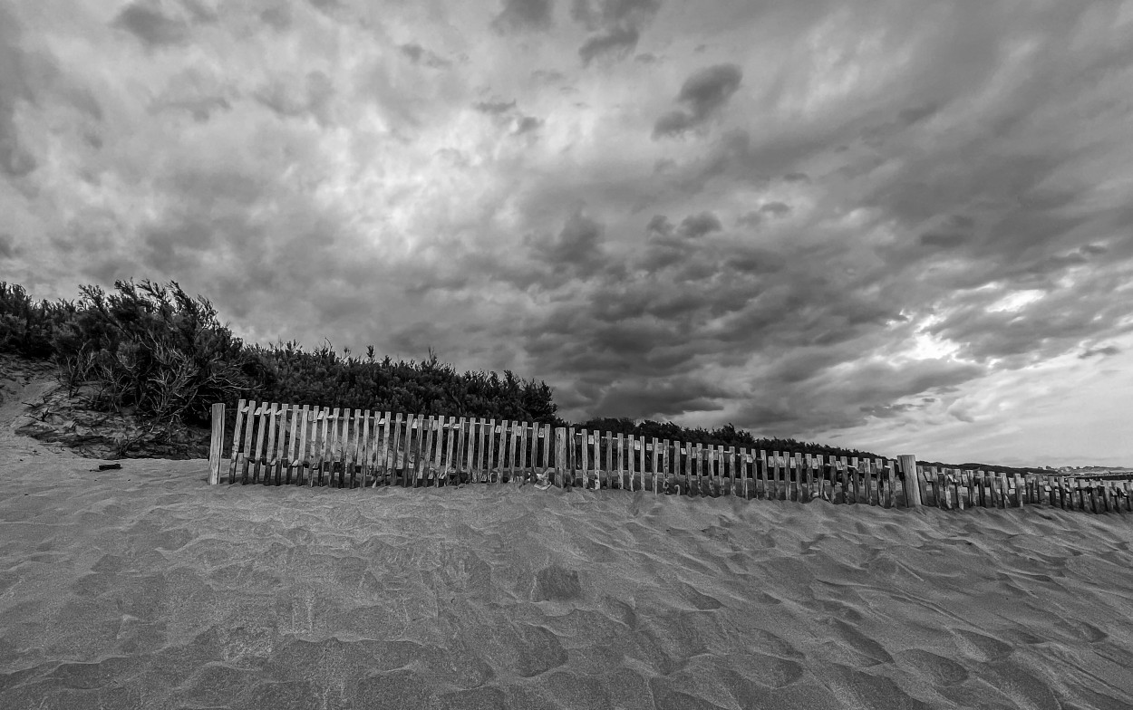 "Se viene la tormenta" de Luis Alberto Bellini