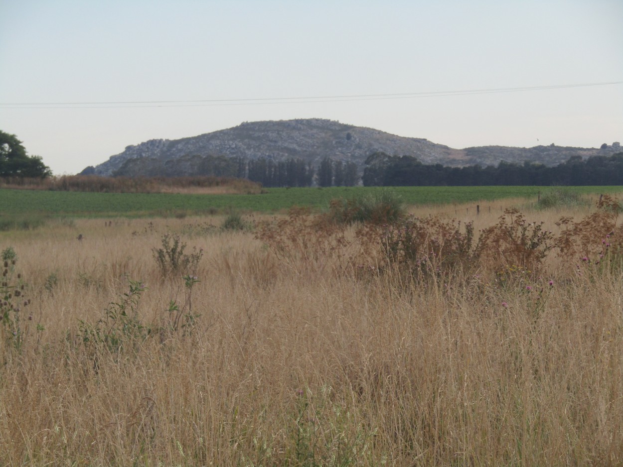 "Cerro Heusser" de Miguel Angel Palermo