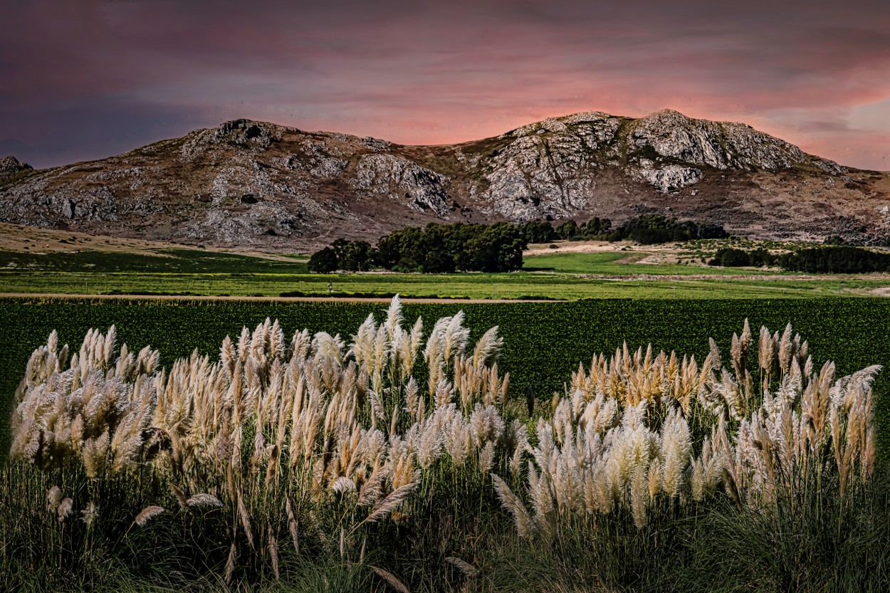 "Lis campos de Tandil, pcia de BueAir" de Carlos Cavalieri