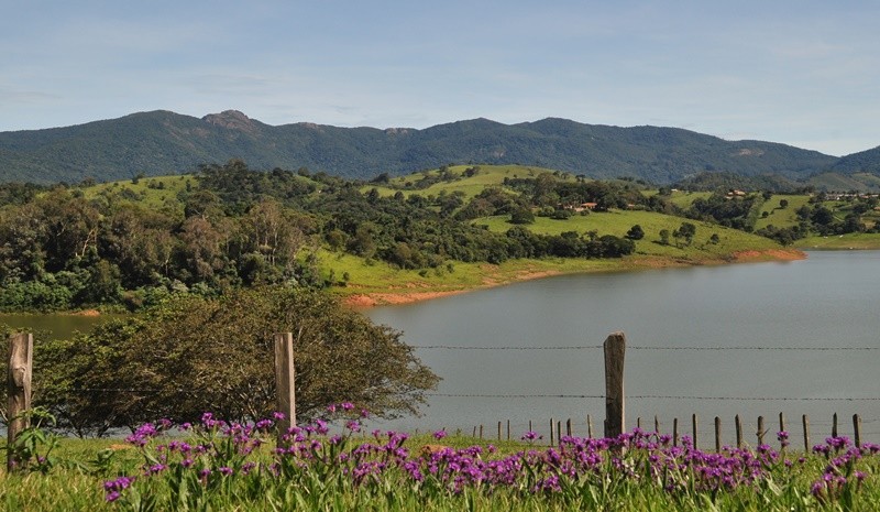 "Aps dias e dias com chuvas, a caminhada da manh." de Decio Badari