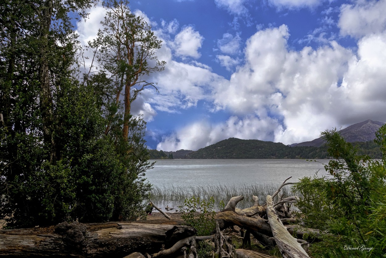 "Maravillosa Rio Negro!" de Alberto Daniel Gangi