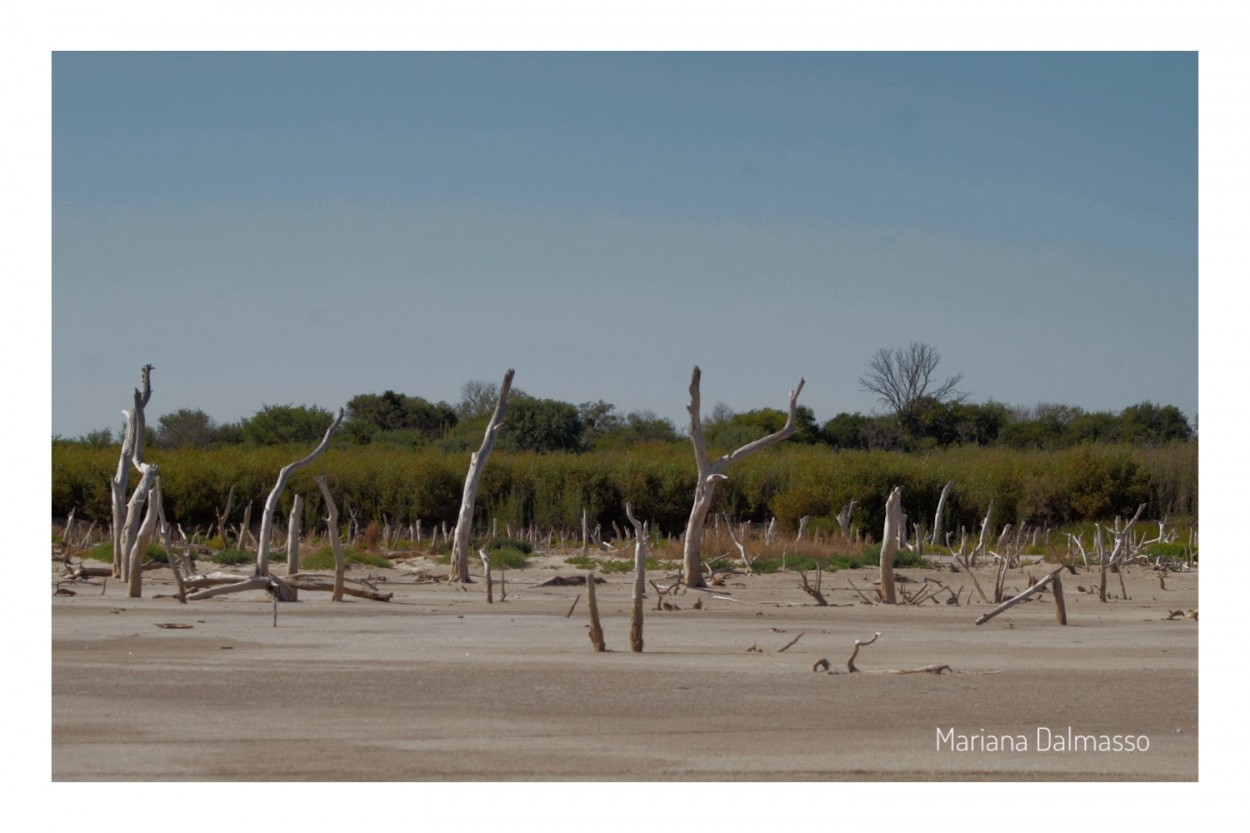 "En la salitre" de Mariana Dalmasso