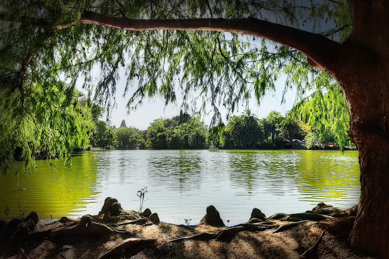 "Lago del Bosque, La Plata" de Kile Zabala