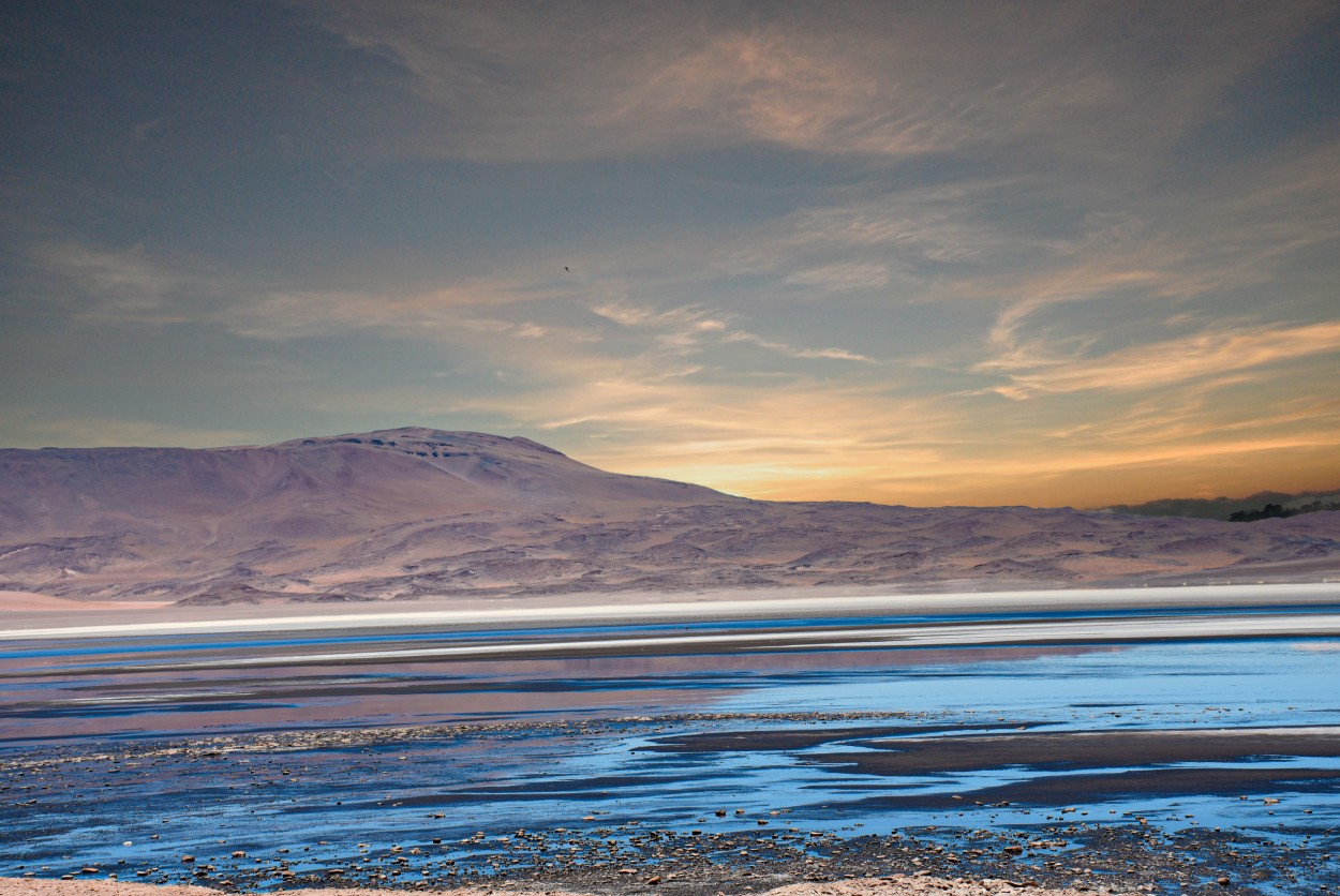 "Puna de Atacama" de Daniel Oliveros