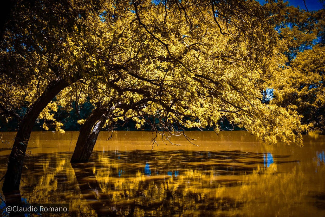 "Bella naturaleza.." de Claudio Romano