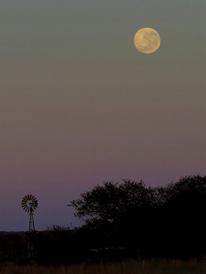 "Melanclica salida de la Luna" de Alejandro del Valle