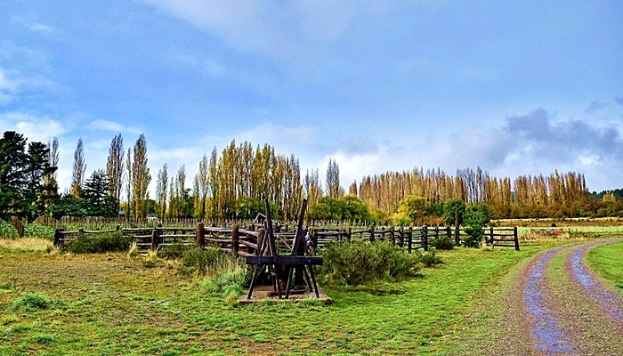 "los corrales" de Fernando Oscar Colussi