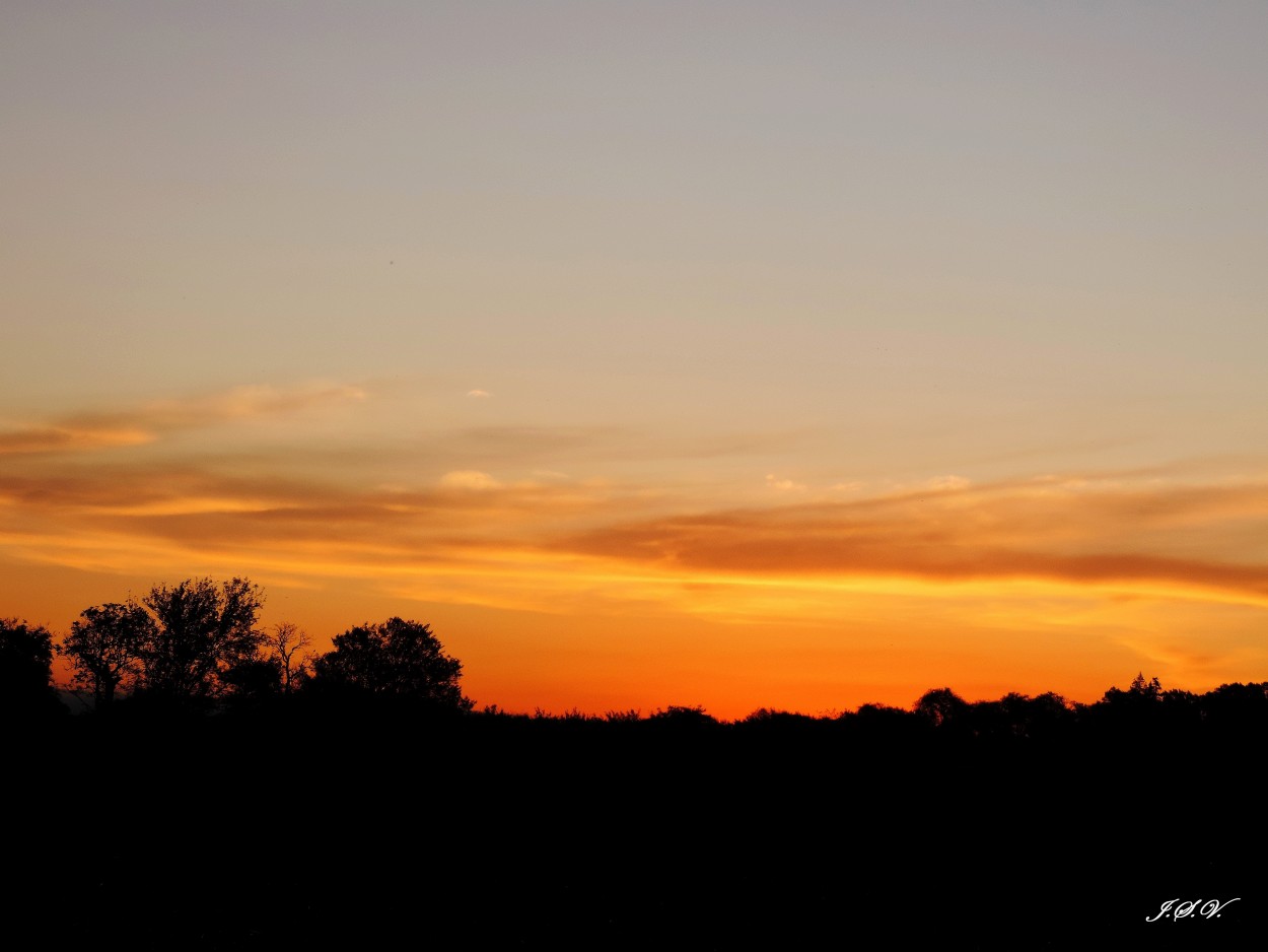 "Stella del atardecer" de Jorge Vargas