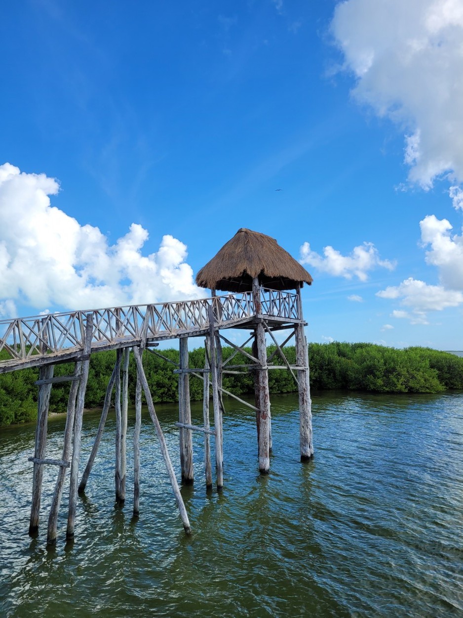 "Muelle" de Ruth Saavedra