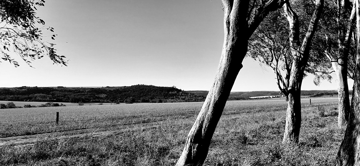 "Campo serrano" de Juan Carlos Viegas