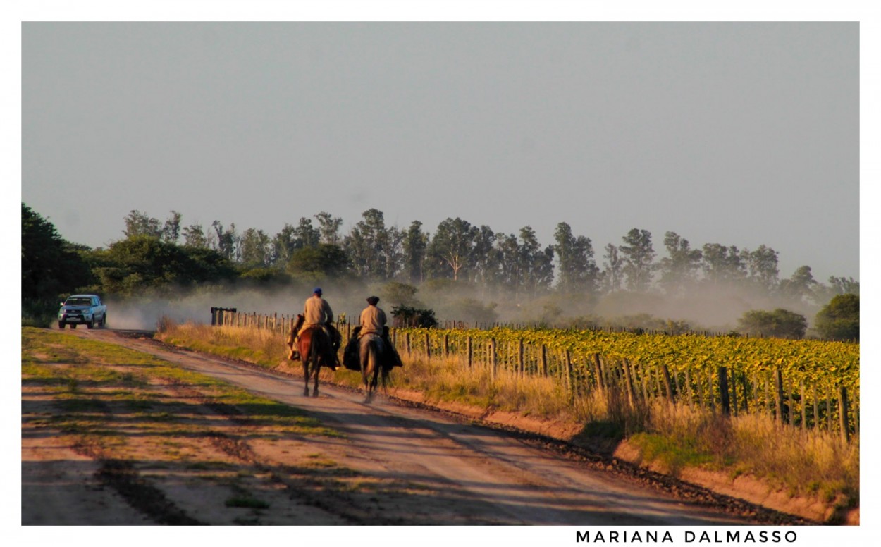 "Camino a casa." de Mariana Dalmasso