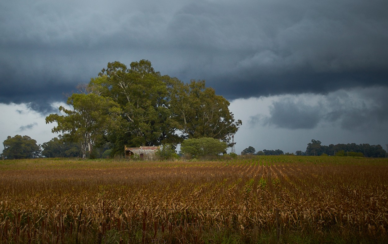 "Ruinas en la tormenta" de Fernando Valdez Vazquez