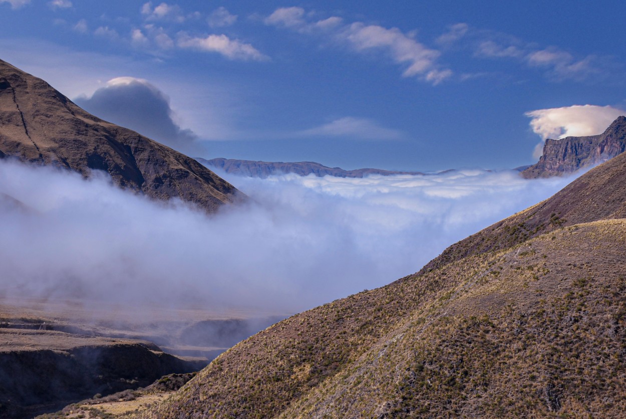 "Entre nubes" de Daniel Oliveros