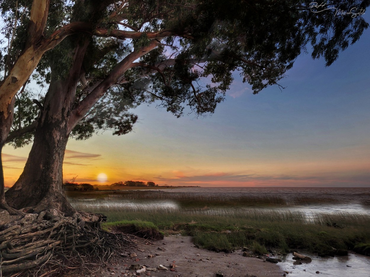 "Atardecer en el Rio de La Plata" de Miriam E. Sotelo