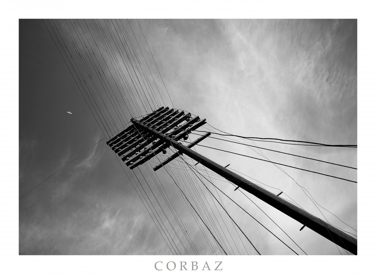 "Lneas y un vuelo" de Alberto Corbaz