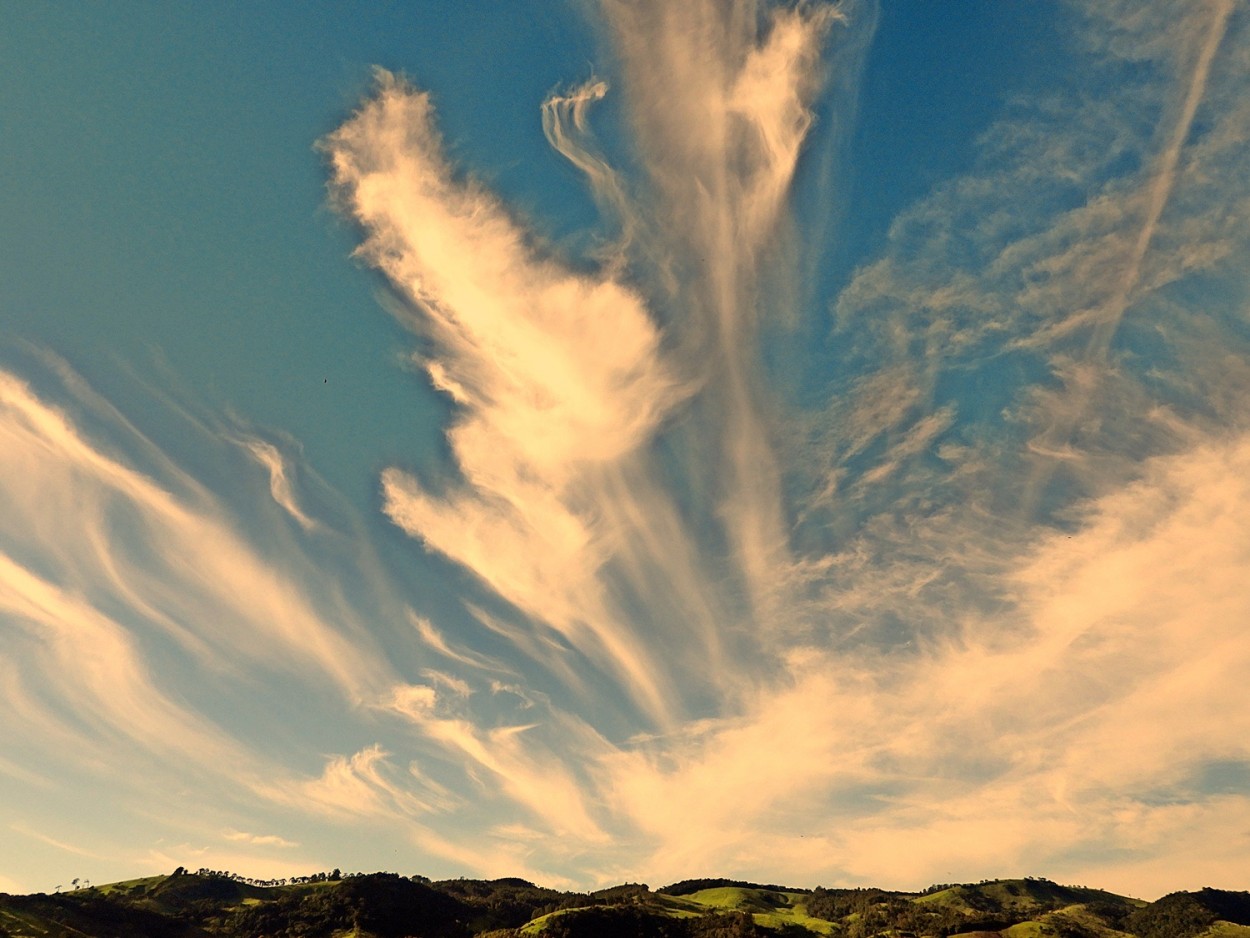 "A natureza  a arte de Deus. (Dante Alighieri)..." de Decio Badari