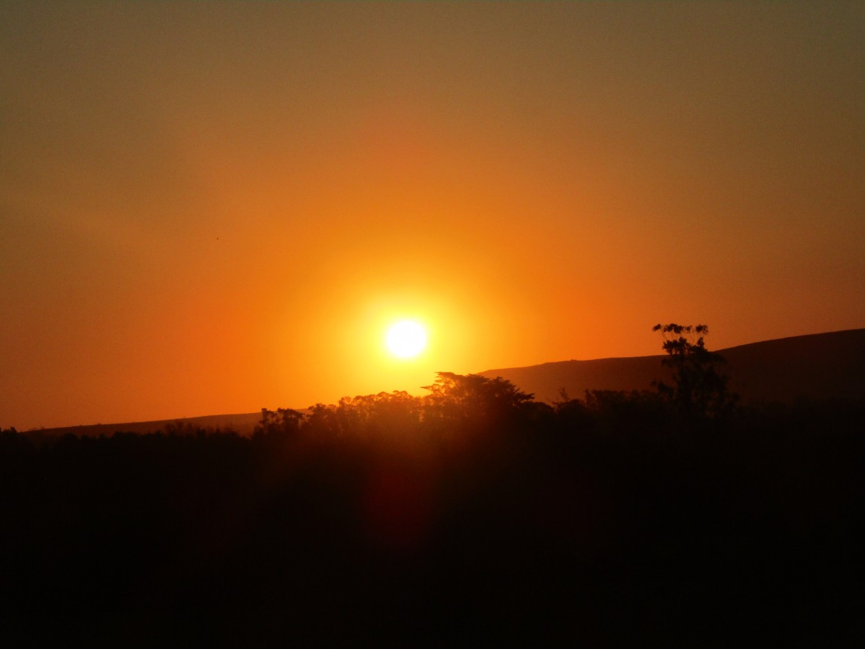 "El sol" de Miguel Angel Palermo