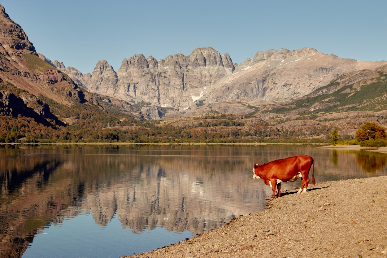 "Lagunas de Epulauquen, Neuqun" de Gerardo Damin Fernndez