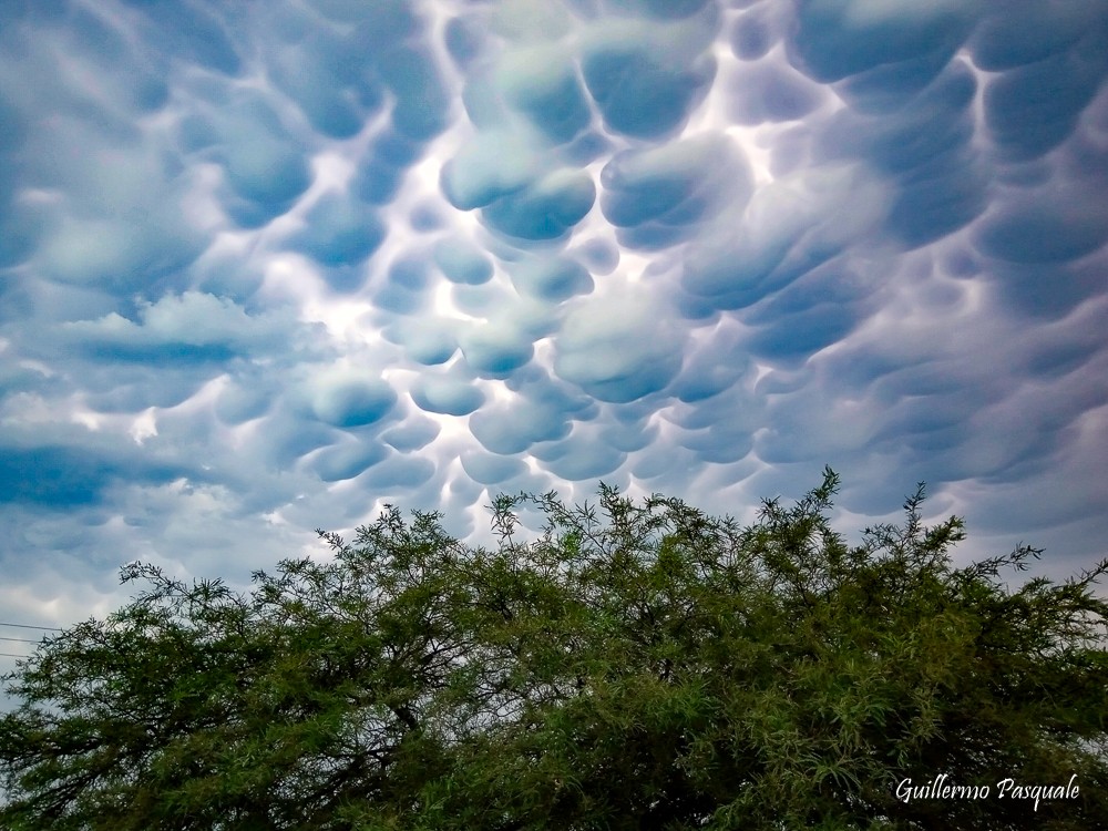 "Antes de la Tormenta" de Guillermo Daniel Pasquale