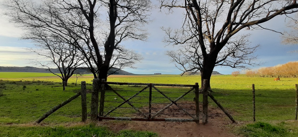 "Con olor a tierra mojada" de Juan Carlos Viegas