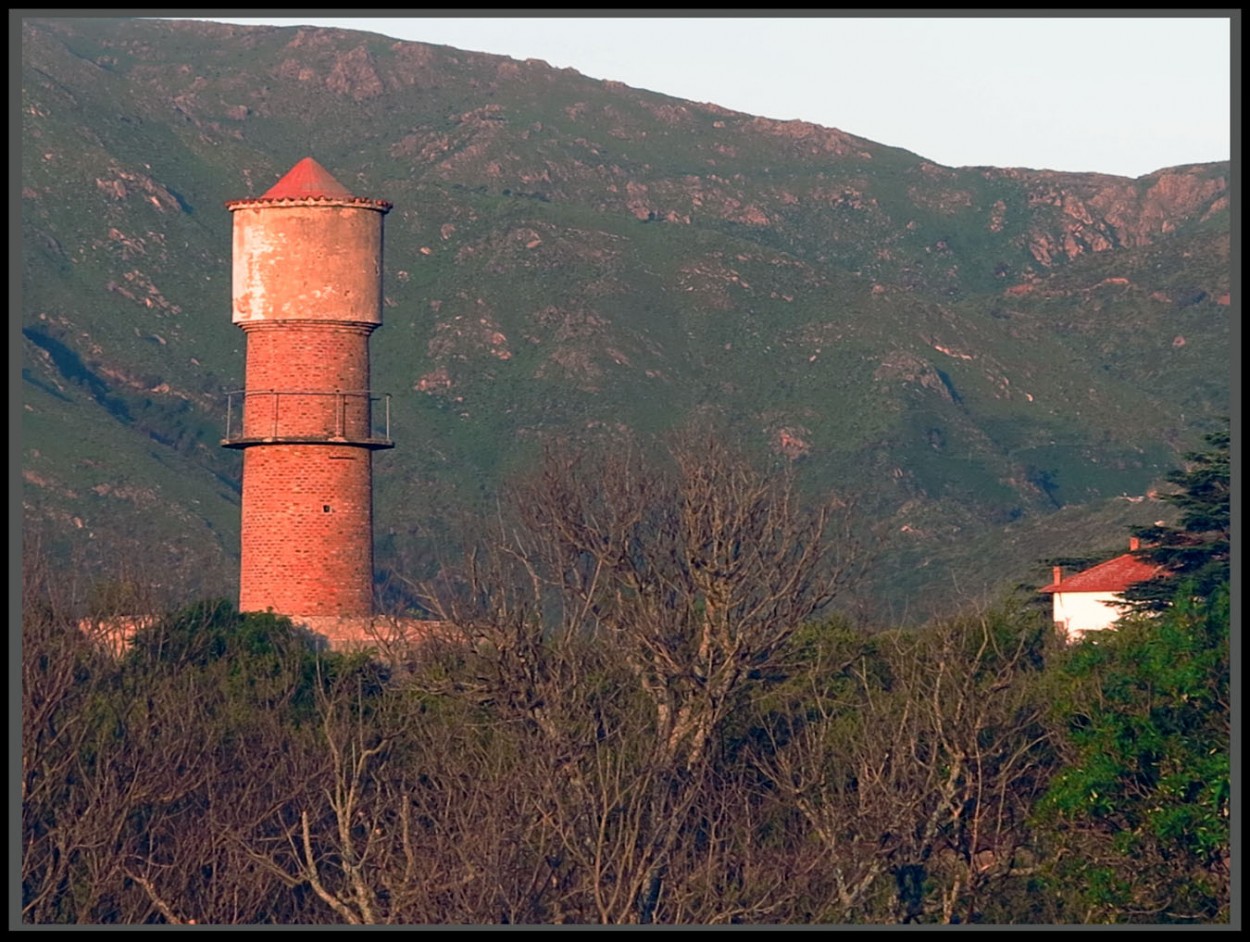 "La dominante" de Jorge Vicente Molinari