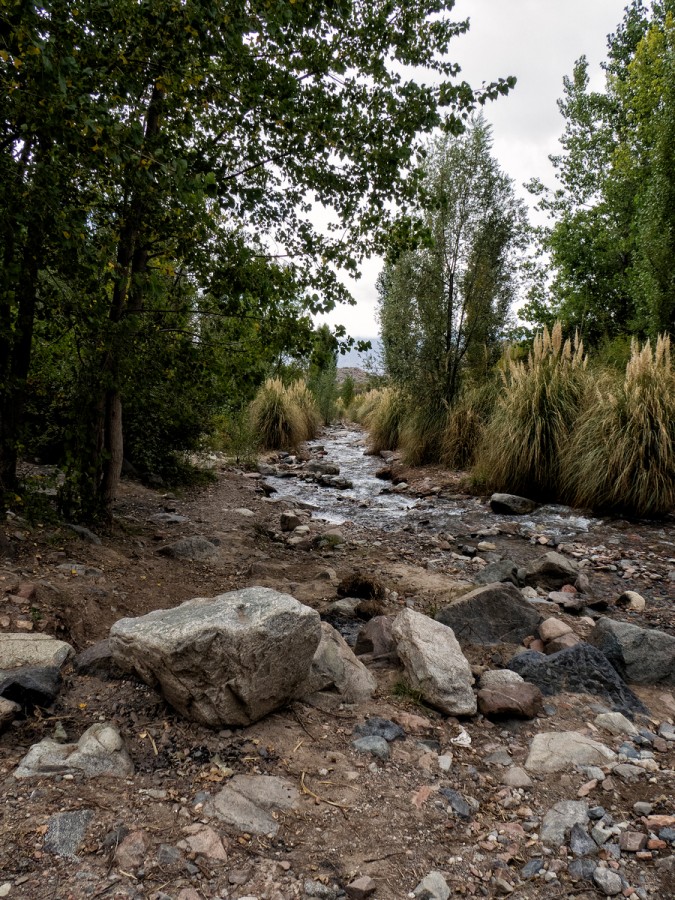 "Arroyo mendocino" de Carlos Gauna