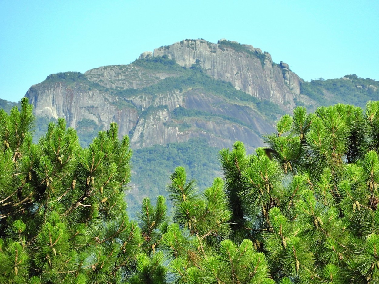 "Tem dias em que a ` Me natureza `est com....ler" de Decio Badari