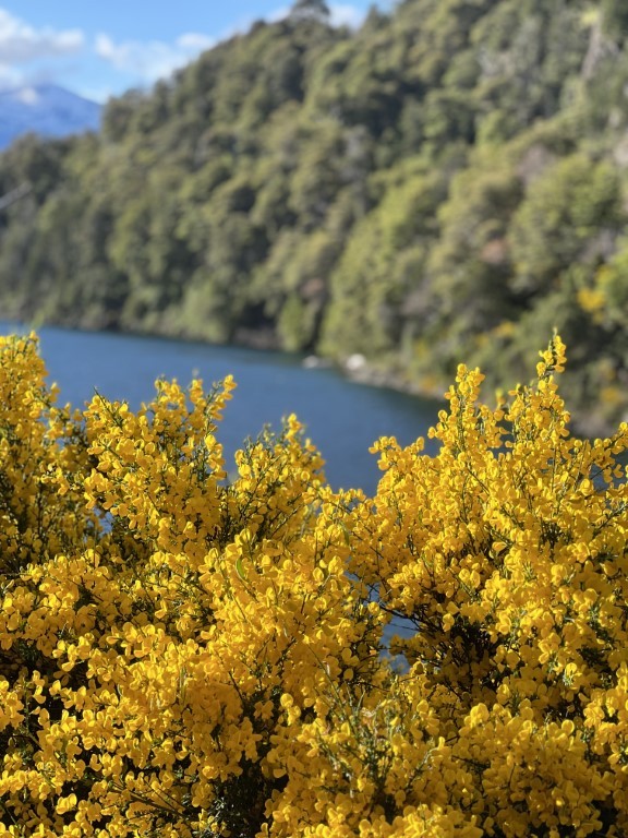 "Hermosa Patagonia Parte 1" de Eduardo Estevez