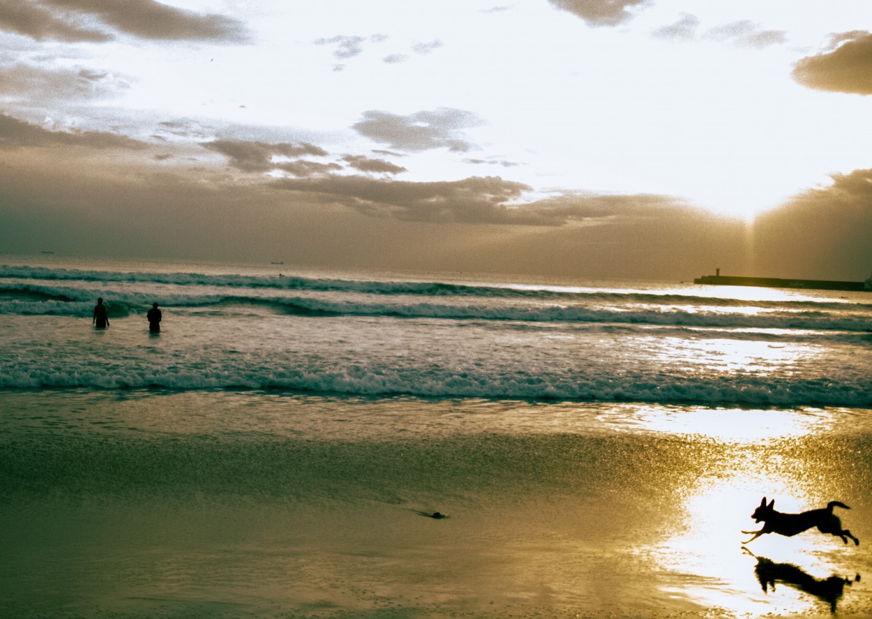 "Vida no Mar" de Talles Gomes