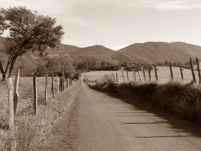 "Iniciando a caminhada desta manh, estrada...ler" de Decio Badari