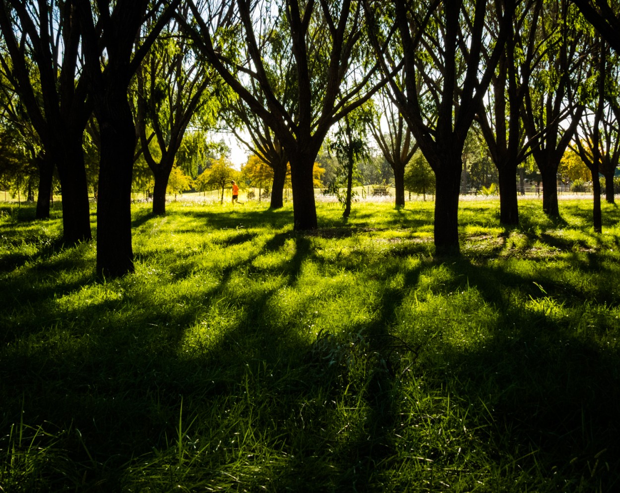 "Corriendo al sol" de Fernando Valdez Vazquez