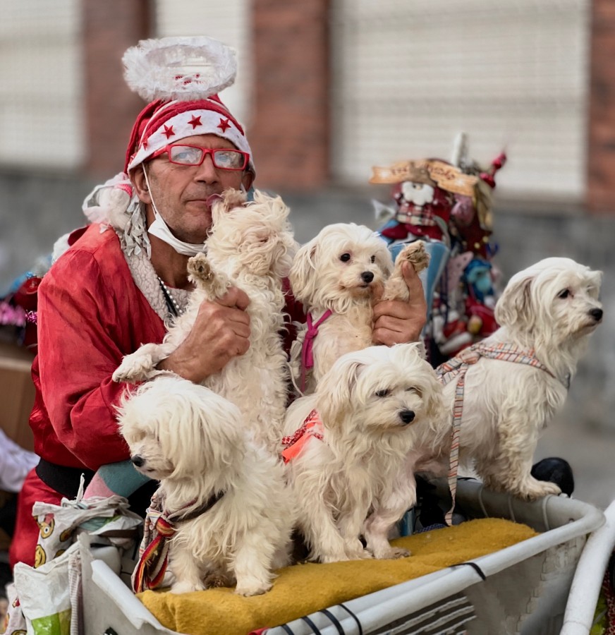 "Puro Amor...el Sr. y sus perros...." de Eduardo Estevez