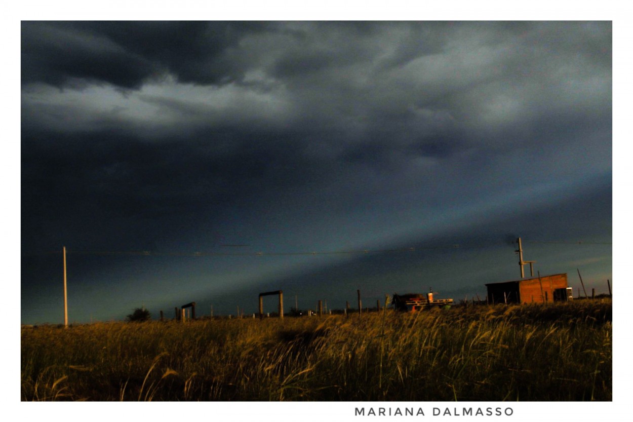 "Tarde con tormenta" de Mariana Dalmasso