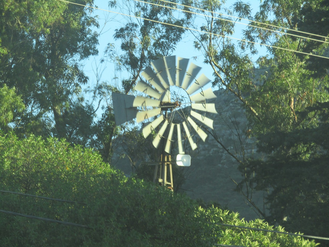 "Molino escondido" de Miguel Angel Palermo